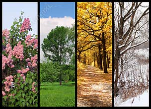 Four seasons spring, summer, autumn, winter