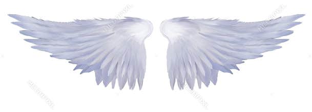 Angelic Wings