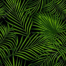 Abstract exotic plant seamless pattern on black background