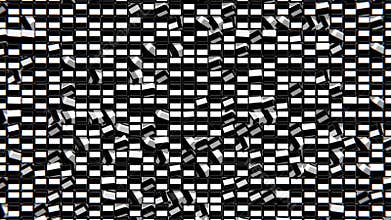 Black and White Visual