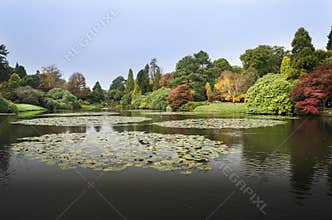 Autumn Foliage at Sheffield Park