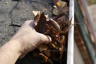 Fall Cleanup - Leaves in Gutter
