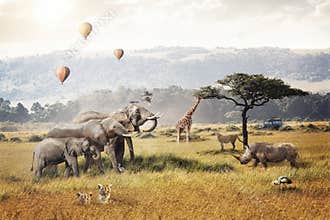 Kenya Safari Dream Trip Scene