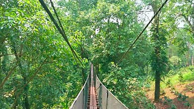 The rope suspension bridge in Mae Fah Luang garden, Doi Tung, Chiang Rai, Thailand