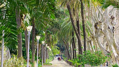 Paseo del Parque in Malaga town Costa del Sol resort Spain