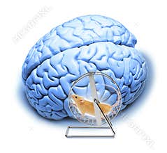 Brain Abstract Stress Exercises Memory