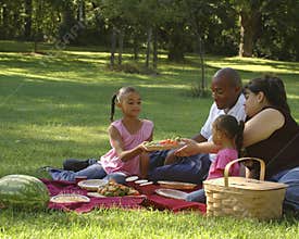 Bi-racial Family Picnic