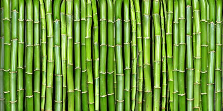 Banner of bamboo