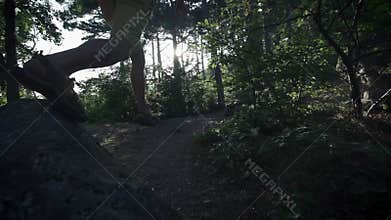 SLOW MOTION, CLOSE UP: Unrecognizable courageous male hiker climbing mountaintop, walking off trail on dangerous rocky