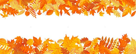 Frame with fall autumn colorful leaves on white background. Eps 10