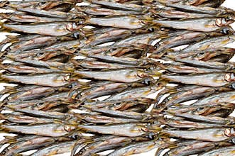 A lot of capelin fish, abstract pattern.