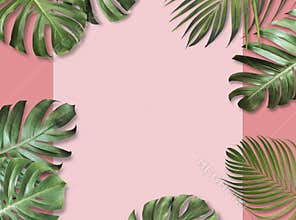 Tropical leaves on pink paper background with copy space Summer banner