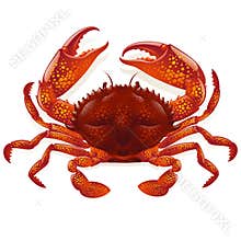 Red crab
