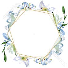 White lily floral botanical flowers. Watercolor background illustration set. Frame border ornament square.