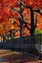 Arkansas Autumn in Rogers