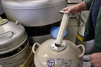 Checking the tank with liquid nitrogen in tanks for storage of biomaterials at ultra-low temperatures of Celsius