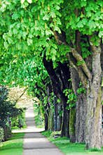Green Path,Canada