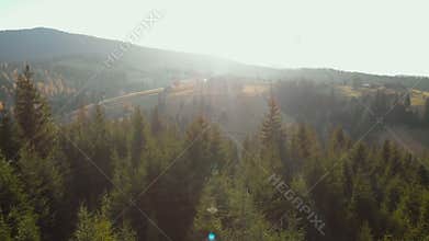 Autumn forest aerial colorful trees drone mountains