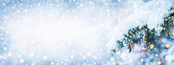 Winter fir tree christmas scene with sunlight