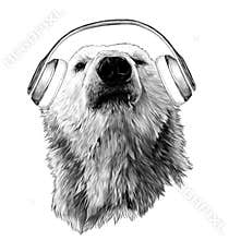 Proud bear head looking confidently forward with headphones