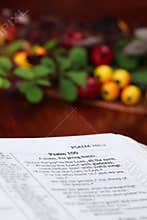 Thanksgiving Bible