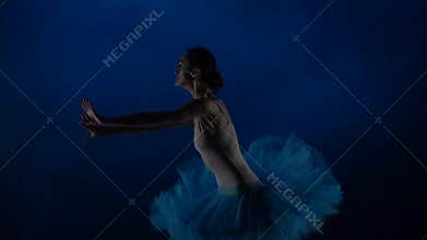 Ballerina in white tutu performing ballet. Close up slow motion.