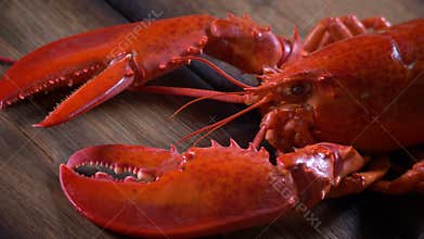 Steamed lobster seafood