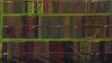 Slow flight over nursery of ornamental plants