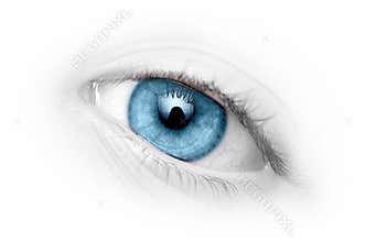 Close-up blue eye
