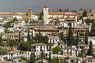 Shrubs and trees in the gardens of the houses of the AlbaicÃ­n, in the center of the city of Granada.