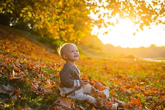 Happy baby playing with leaves in nature. Golden autumn. Smiling little boy with blonde hair plays at beautiful sunny
