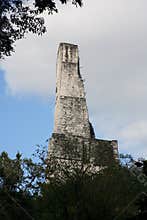 Palace III Tikal, Guatemala