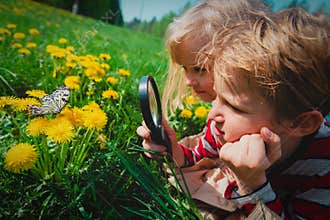 Kids - boy and girl - looking at butterfy, kids learning nature