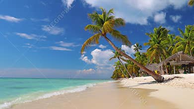 Tropical caribbean island Saona, Dominican Republic. Beautiful beach, palm trees and clear sea water