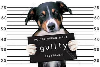 Bad dog at police station
