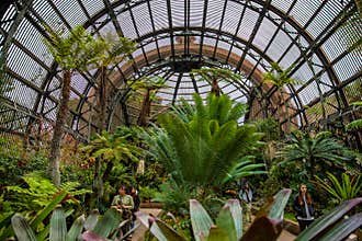 Balboa Park Botanical Garden