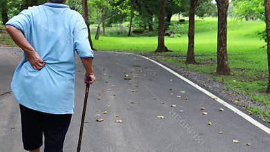 Asian senior woman with back and hip joint painful while walking exercise,female patient have backache,lumbago pain,hand touch on