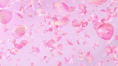 Pink Rose Petals loopable background in 4K