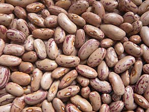 Spotted kidney beans