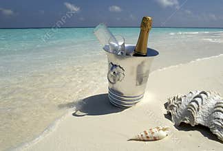 Champagne - tropical beach - Maldives