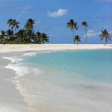 Bahamas Beach Scene