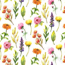 Wildflowers, watercolor, poppy, cornflower, chamomile, background vector