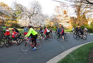 Cycling in the Kenwood Neighborhood