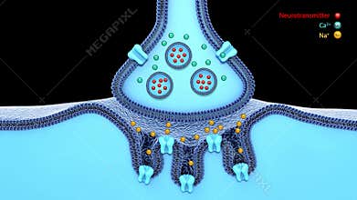 Blue synapse and neuron on a blue background. 3d rendering,scientific function of a synapse or neuronal connection with a nerve