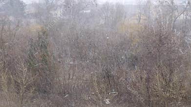 View from the balcony of the city park, winter beginning, strong wind, first snow, blizzard. wet snow with rain