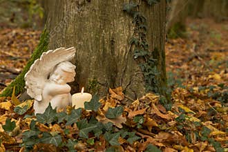 Angel with candle, nature cemetery