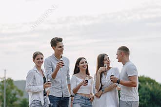 Picnic friends with pizza and drinks, sunny day, sunset, company, fun, couples and mom with baby