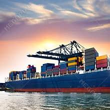 Cargo sea port. Sea cargo cranes.
