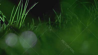 Romantic picnic with a flashlight at night