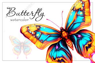 Watercolor butterfly clipart